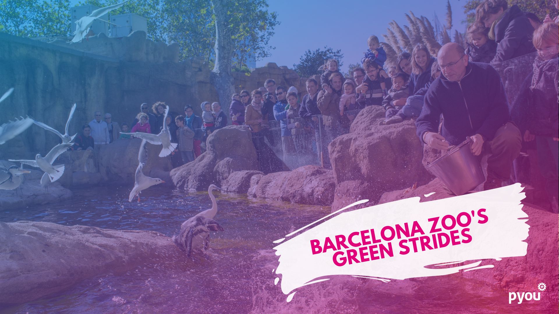 The Strides of Sustainability: Barcelona Zoo's Pioneering Steps Towards a Green Future