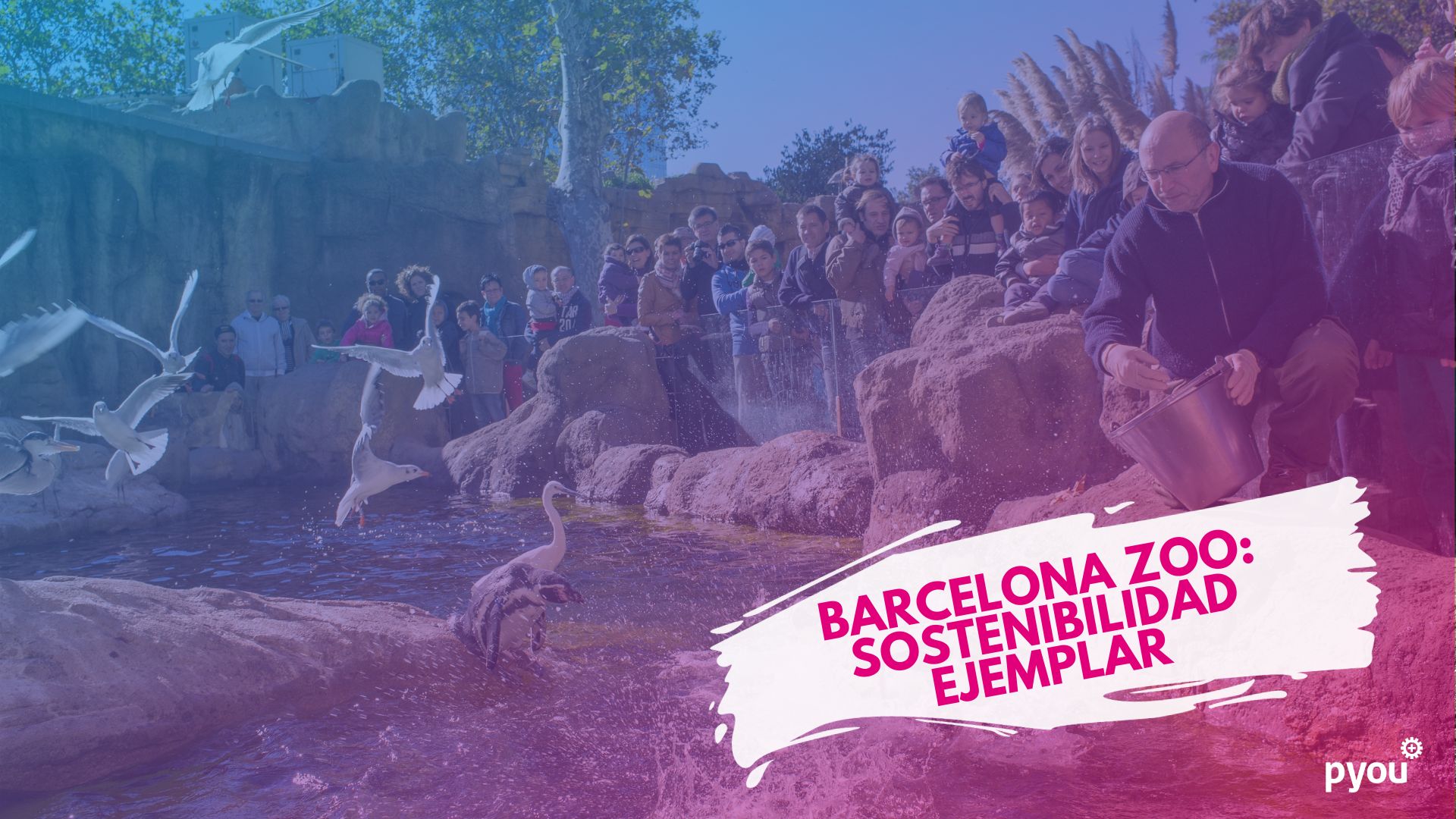 Los Avances de la Sostenibilidad: Los Pasos Pioneros del Zoológico de Barcelona hacia un Futuro Verde